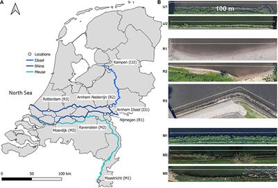 Sample size requirements for riverbank macrolitter characterization